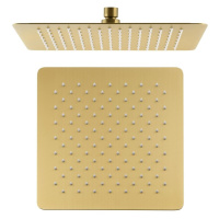 SAPHO - SLIM hlavová sprcha, 300x300m, zlato mat SL101GB