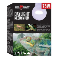 Žiarovka Repti Planet Daylight Neodymium 75W