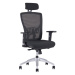 Ergonomická kancelárska stolička OfficePro Halia Mesh Farba: sivá, Opierka hlavy: s opierkou