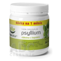 topnatur PSYLLIUM vláknina