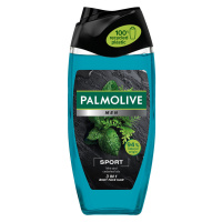 Palmolive sprchový gél 250ml for men extreme wave