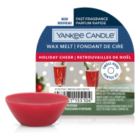 YANKEE CANDLE Vonný vosk Holiday Cheer 22 g