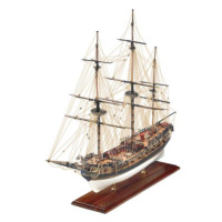 VICTORY MODELS HMS Fly 1776 1:64 kit