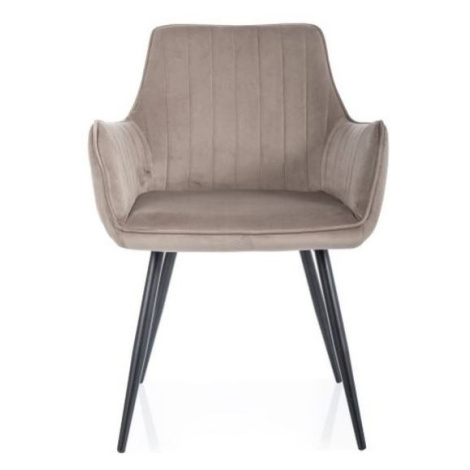 Jedálenské stoličky Signal