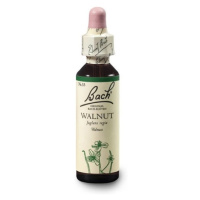 ORIGINAL BACH® Walnut 20 ml