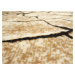 Kusový koberec Superwood brown - 160x230 cm Alfa Carpets