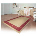 Kusový koberec SISALO/DAWN 879/O44P (J84 Red) – na ven i na doma - 133x190 cm Oriental Weavers k