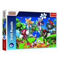 Puzzle Sonic a priatelia/Sonic The Hedgehog 41x27, 5cm 160 dielikov v krabici 29x19x4cm