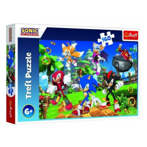 Puzzle Sonic a priatelia/Sonic The Hedgehog 41x27, 5cm 160 dielikov v krabici 29x19x4cm