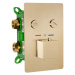 REA - Sprchový termostatický set FENIX DAVIS zlatá kefová z termostatom + BOX REA-P6358