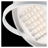 Nimbus Rim R 36 stropné LED svietidlo biele