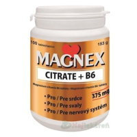 Vitabalans Magnex citrate 375 mg+B6 100 tabliet