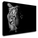 Impresi Obraz Tiger čiernobiely - 90 x 60 cm