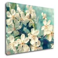Impresi Obraz Čerešňový kvet modré pozadie - 90 x 60 cm