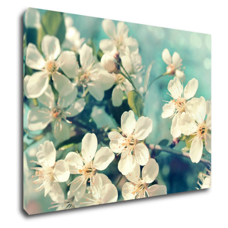 Impresi Obraz Čerešňový kvet modré pozadie - 90 x 60 cm