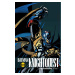 DC Comics Batman Knightquest The Crusade 2