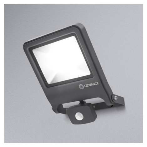 LEDVANCE Endura Floodlight LED reflektor, 50W