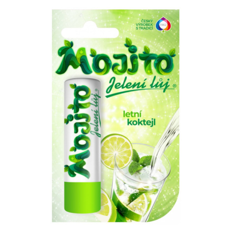 REGINA MOJITO - Balzam na pery s vôňou sviežeho drinku 4,5 g