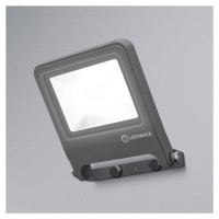 LEDVANCE Endura Floodlight LED reflektor 30W