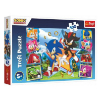 Puzzle Zoznámte sa so Sonicom/Sonic the Hedgehog 100 dielikov 41x27,5cm v krabici 29x19x4cm