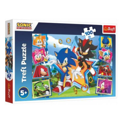 Puzzle Zoznámte sa so Sonicom/Sonic the Hedgehog 100 dielikov 41x27,5cm v krabici 29x19x4cm