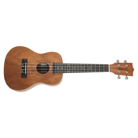 Tanglewood TWT 3