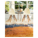 Oranžový koberec 160x230 cm Nova – Asiatic Carpets