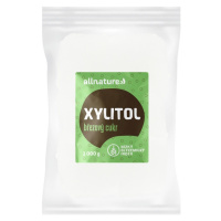 Allnature Xylitol brezový cukor 1000 g