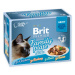 BRIT Premium Delicate Fillets in Gravy Family Plate kapsičky pre mačky 12 x 85 g