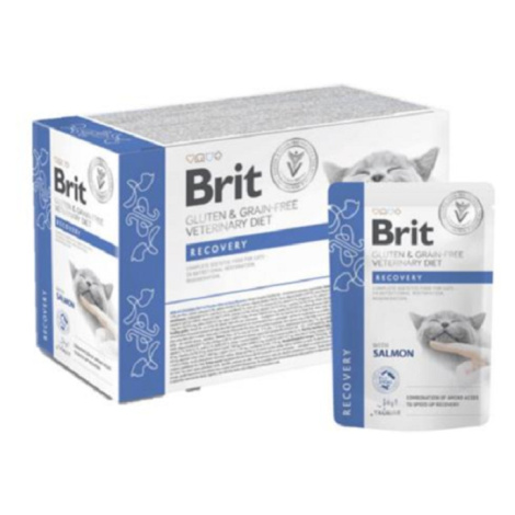 Brit VD Gluten & Grain-Free Cat Pouch Fillets in Gravy Recovery kapsičky pre mačky 12x85g