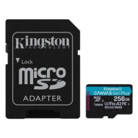 Kingston microSDXC Canvas Go!