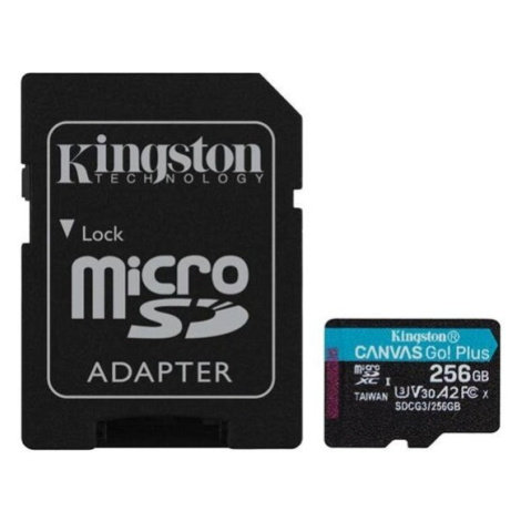 Kingston microSDXC Canvas Go!