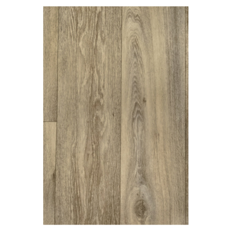 PVC Ambient HAVANNA OAK 613M 300 cm