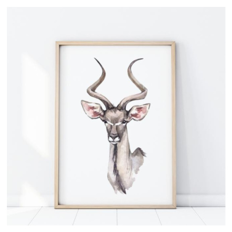 Safari plagát s portrétom antilopy na bielom pozadí