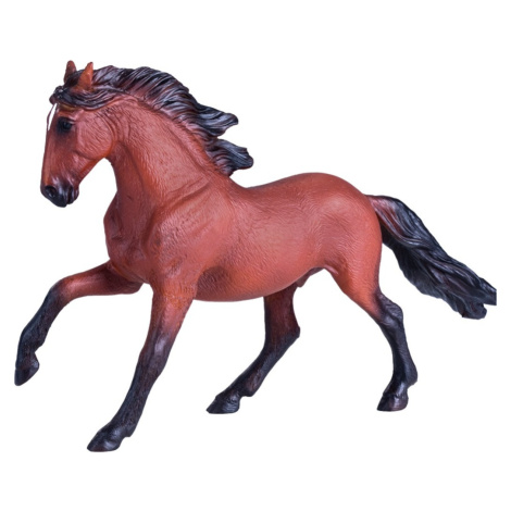 Mojo Kôň Lusitánsky hnedý