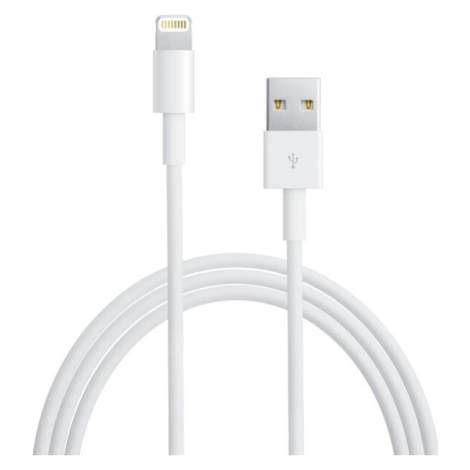 Apple Lightning to USB Cable 2