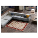 Červeno-krémový koberec 115x160 cm Classic - Universal