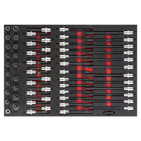 Nástrčné hlavice v penovej výplni, Imbus, Torx, 1/2", 62 ks, VIGOR - V4727