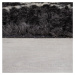 Čierny koberec 120x170 cm Aisha – Flair Rugs