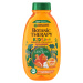 GARNIER Botanic Therapy Disney Kids 2v1 šampón&kondicionér Leví kráľ marhuľa 400 ml