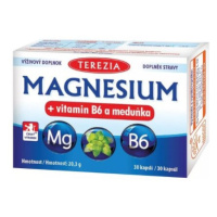 TEREZIA Magnezium + vitamín B6 a medovka 30 kapsúl