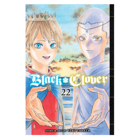 Viz Media Black Clover 22