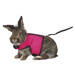 Trixie Soft harness with leash, large rabbits, 25–40 cm, 1.20 m