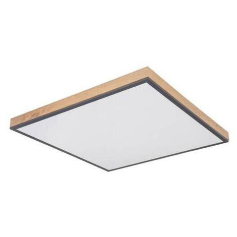 Globo LED PANEL, 59/59/6,5 cm