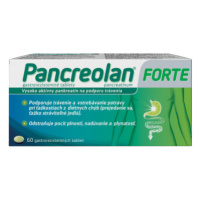 PANCREOLAN Forte 220 mg 60 tabliet