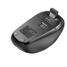 TRUST Myš Yvi Wireless Mouse - parrot