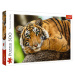Trefl Puzzle 500 - Portrét tigra