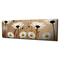 Obraz na plátne Daisies safari PC042 30x80 cm