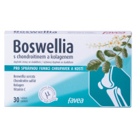 FAVEA Boswellia s chondroitinem a kolagenem 30 tabliet