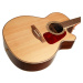 Takamine GN93CE-NAT